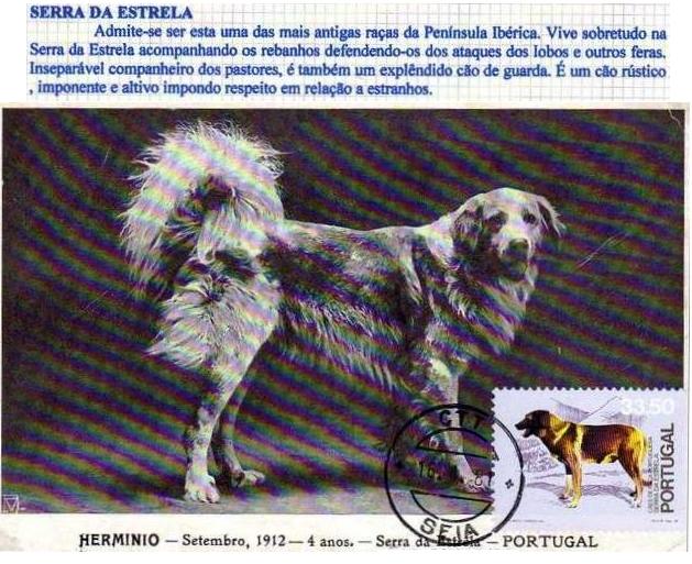 1.8
Beira Alta
